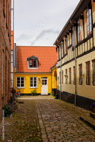 Ebeltoft, Denmark A back cobblestoned alley.