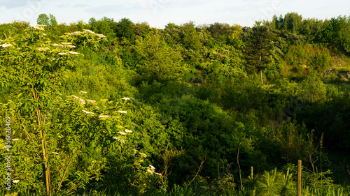 Wallpaper Mural 
Landscapes and views in the Botanical Garden in Radzionków. Ready for entry. Torontodigital.ca