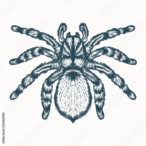 spider artwork illustration