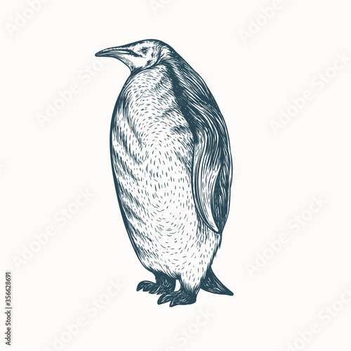 penguin artwork illustration