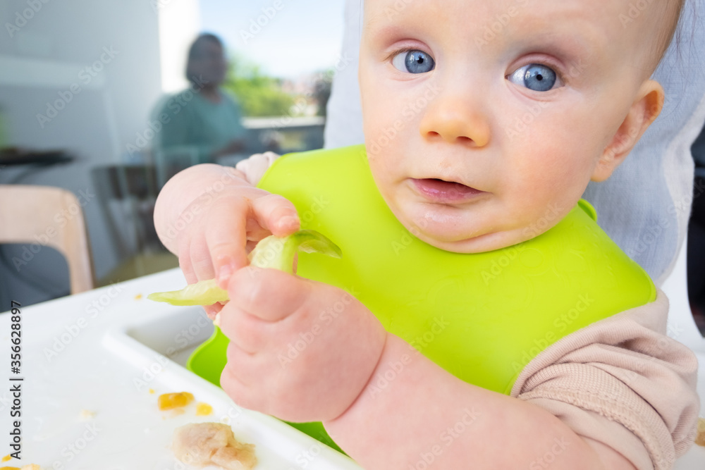 Adorable baby wearing plastic bib, eating slice of fruit or veg by herself. Closeup shot. First solid food or child care at home concept Adorable baby wearing plastic bib, eating slice of fruit or veg by herself. Closeup shot. First solid food or child care at home concept
