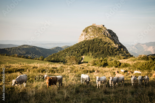 Chateau de Montségur