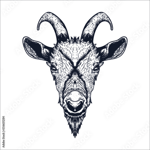 hand drawn goat artwork illustration