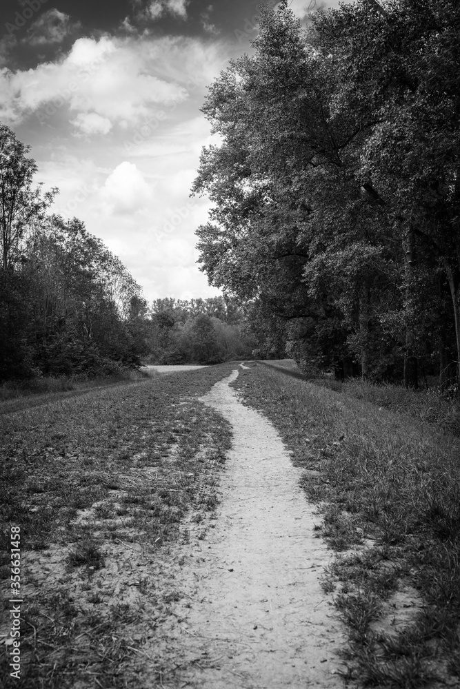 Footpath on a river embankment between riparian forests and fields. Footpath on a river embankment between riparian forests and fields.