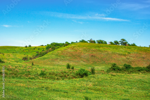 Trees grow on the hills covered with green grass. Green hill
