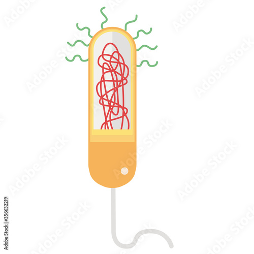 CËLULA PROCARIOTA ILUSTRACIÓN VECTORIAL