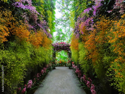 path in the garden photo