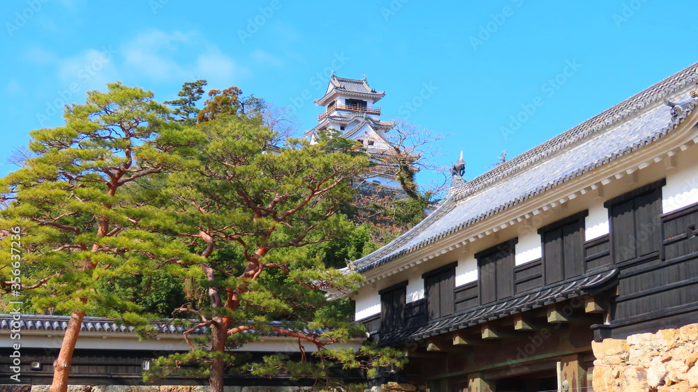 kōchi castle with gate, japan