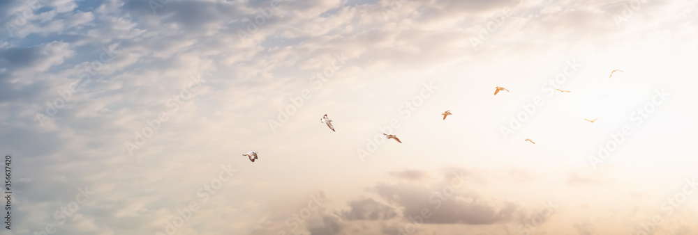 Flock of birds on sunbeam twilight cloud sky sunrise. freedom concept. hope concept. - obrazy, fototapety, plakaty 