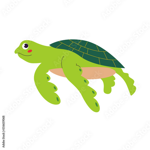 Turtle character. Vector illustration isolated on a white background.
