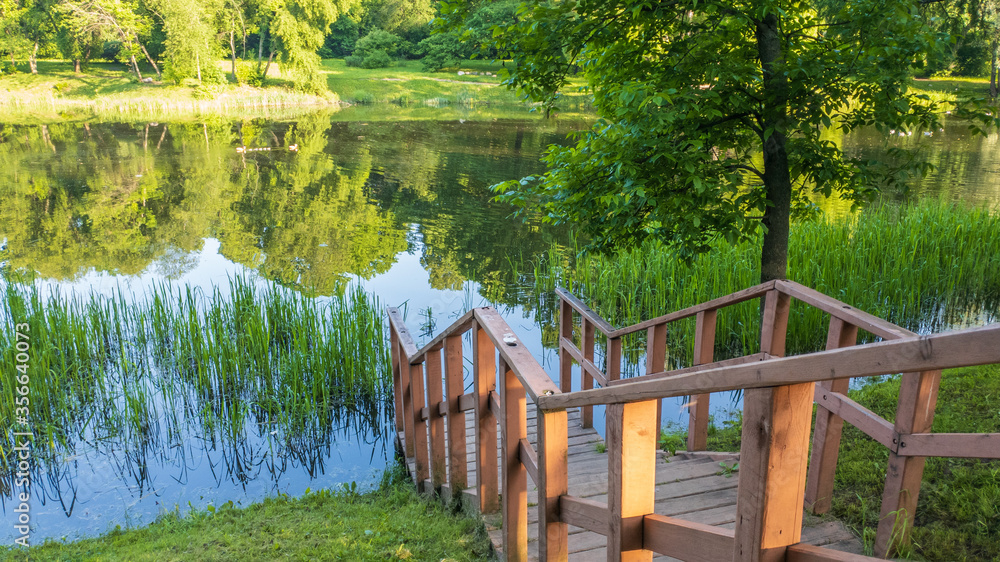 wooden bridge over lake wooden bridge over lake