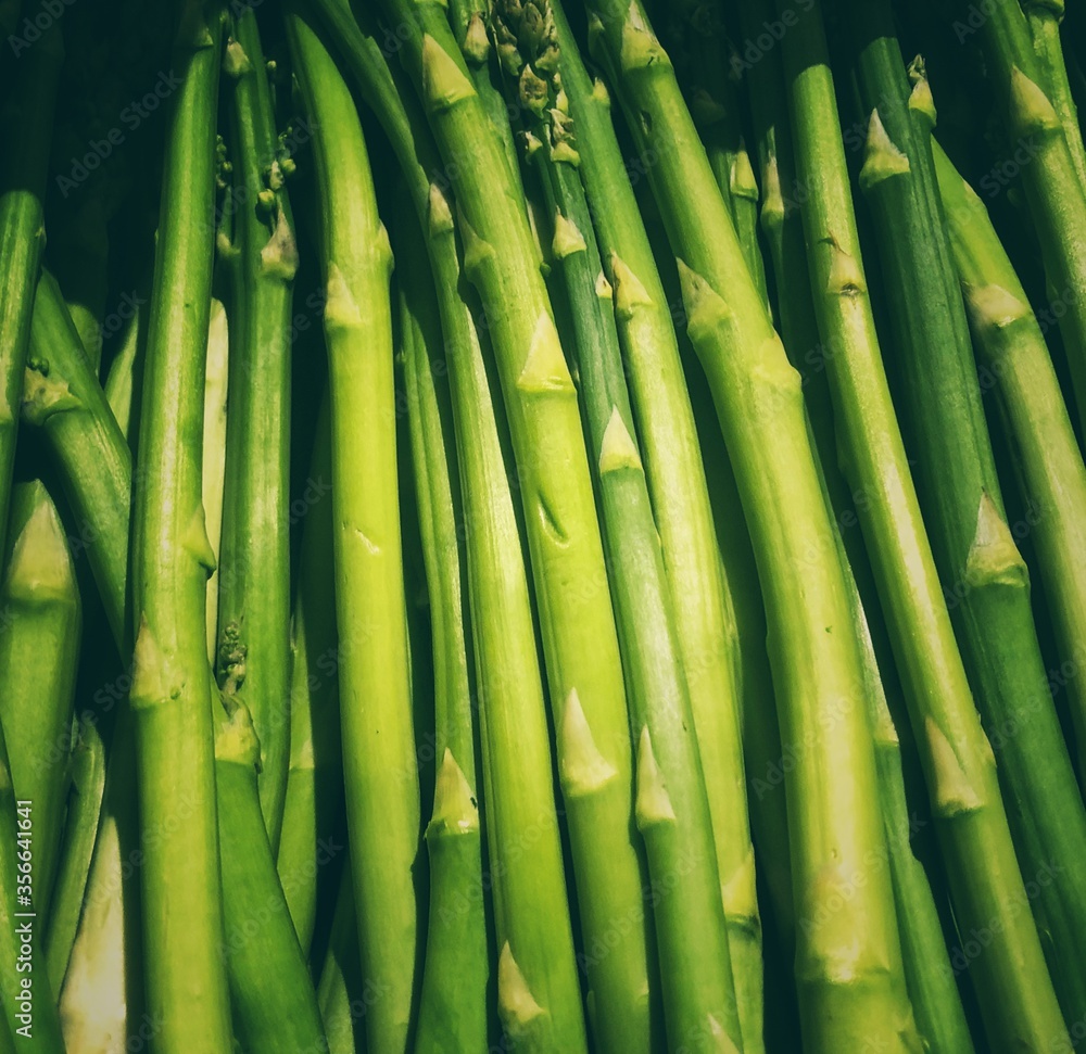 Grüner Spargel aus dem Marchfeld Grüner Spargel aus dem Marchfeld
