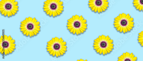 sfondo con fiori gialli 