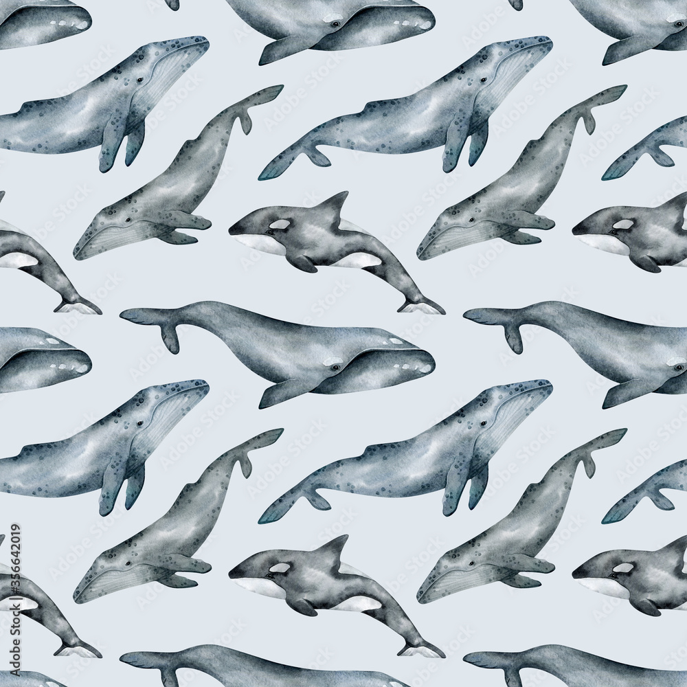 Fototapeta premium Watercolor seamless pattern with whale. Humpback, Southern right, killer whales. Realistic underwater animal. Marine mammal for baby textile, wallpaper, nursery decoration. Antarctic series.