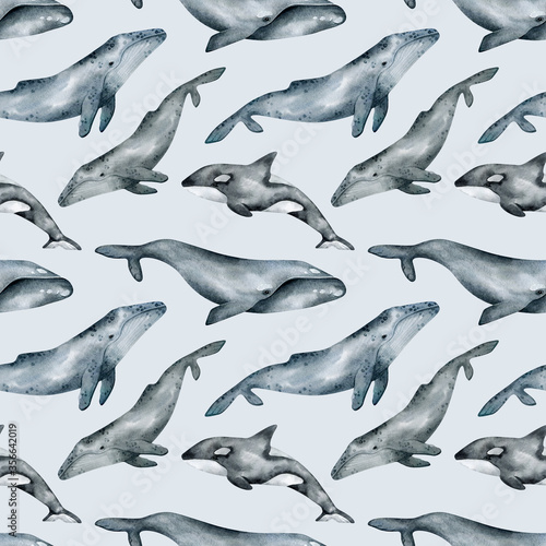 Watercolor seamless pattern with whale. Humpback, Southern right, killer whales. Realistic underwater animal. Marine mammal for baby textile, wallpaper, nursery decoration. Antarctic series.