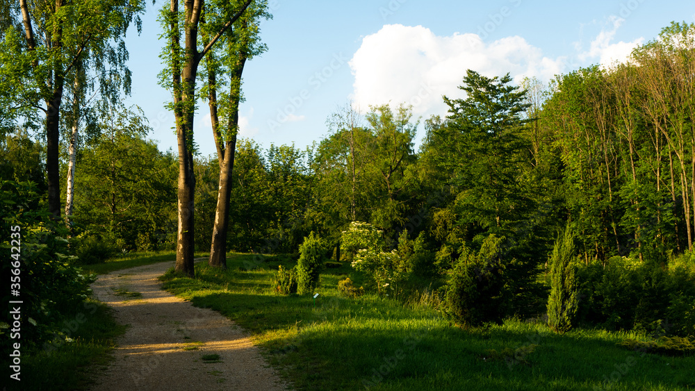 
Landscapes and views in the Botanical Garden in Radzionków. Ready for entry.