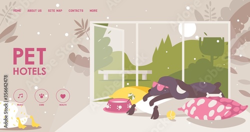Landing page for pet hotel. Happy dog in sunglasses lies on a pillow. Interior scene about love and care to animals