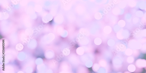 Purple and violet blurred and blur natural abstract bokeh wallpaper backgrund illustration photo