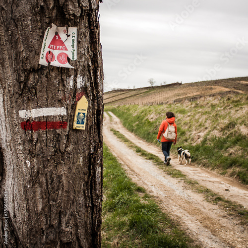 Sur le chemin de Compostelle