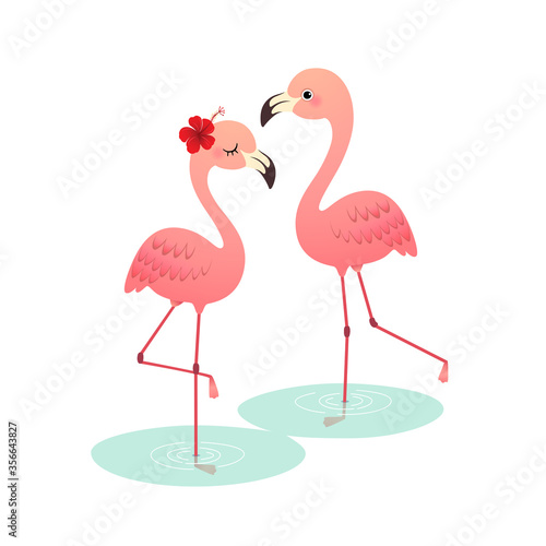 Vector illustration of cute cartoon pink flamingo couple standing on water.