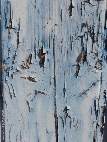 Drzwi drewniane stare, Old Wood, paint