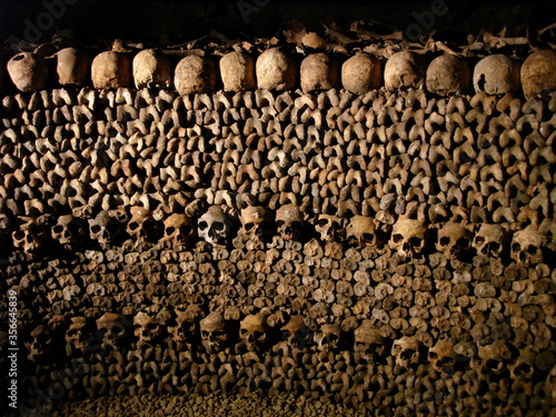 Skulls in the catacombs of Paris