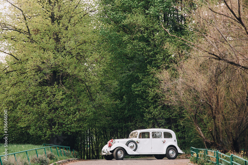 A white vintage car stands on a road in a park