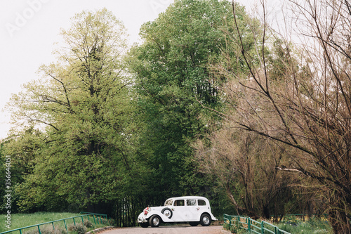 A white vintage car stands on a road in a park