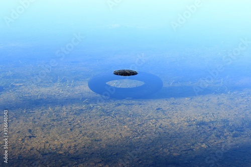 Underwater car tire floats at the bottom of a lake, polluting the water. Selective focus 