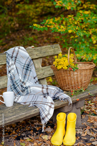 basket with flowers on a bench, near a plaid and a cup