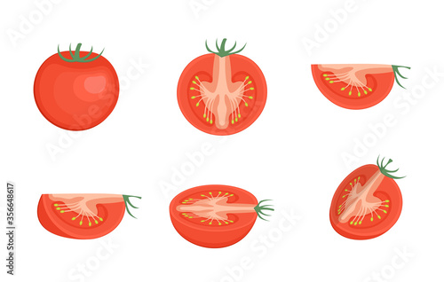Set of chopped tomatoes isolated on white background. Tomato slices illustration.