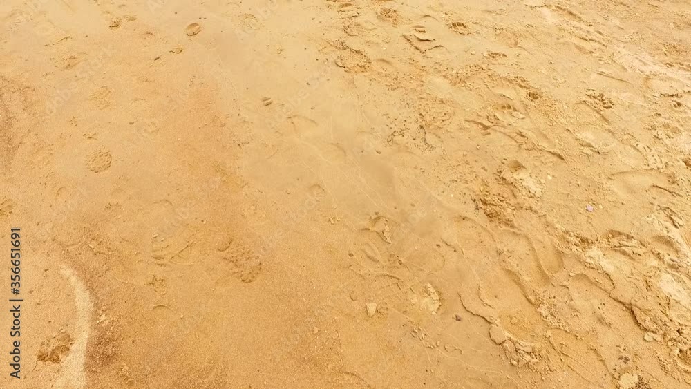 Footsteps in a wet and hot sea sand. Footsteps in a wet and hot sea sand.