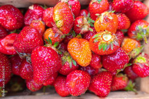 Fresh ripe strawberries in a wooden basket on a dark background. Organic juicy berries. Top view.