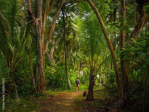 Man Walking On A Path In Tropical Jungle Forest in Bocas del Toro, Panama