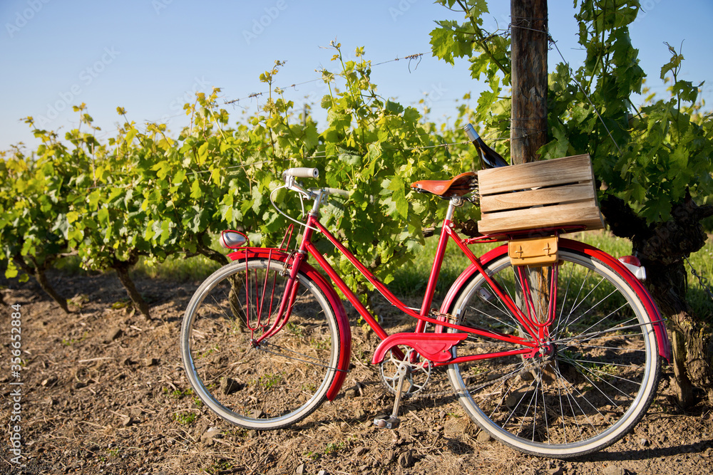 Bicyclette rouge dans les vigne, caisse de vin et bouteille sur le porte bagage.