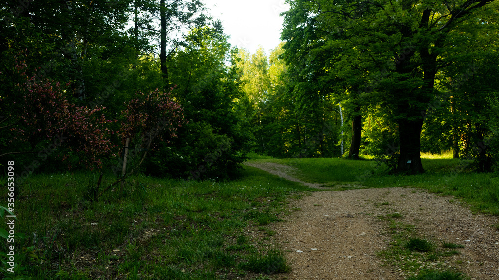 Landscapes and views in the Botanical Garden in Radzionków. Ready for entry.
Landscapes and views in the Botanical Garden in Radzionków. Ready for entry.