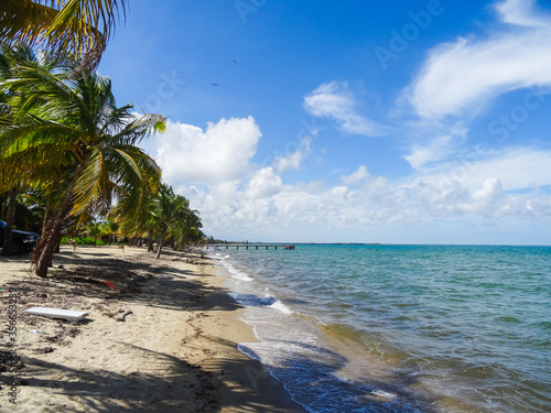 Tropical beach with Palmtrees at the islands of Bocas del Toro  Panama  Central America