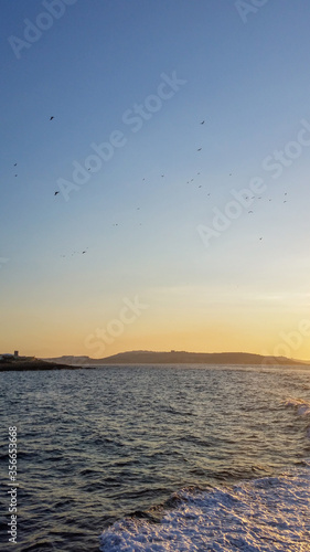 Sunset with birds over the coastline of Malta