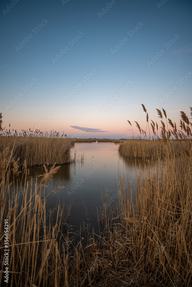 Lake Neusiedl and its reed belt at sunset in spring, Austria