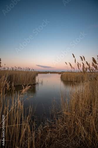 Lake Neusiedl and its reed belt at sunset in spring  Austria