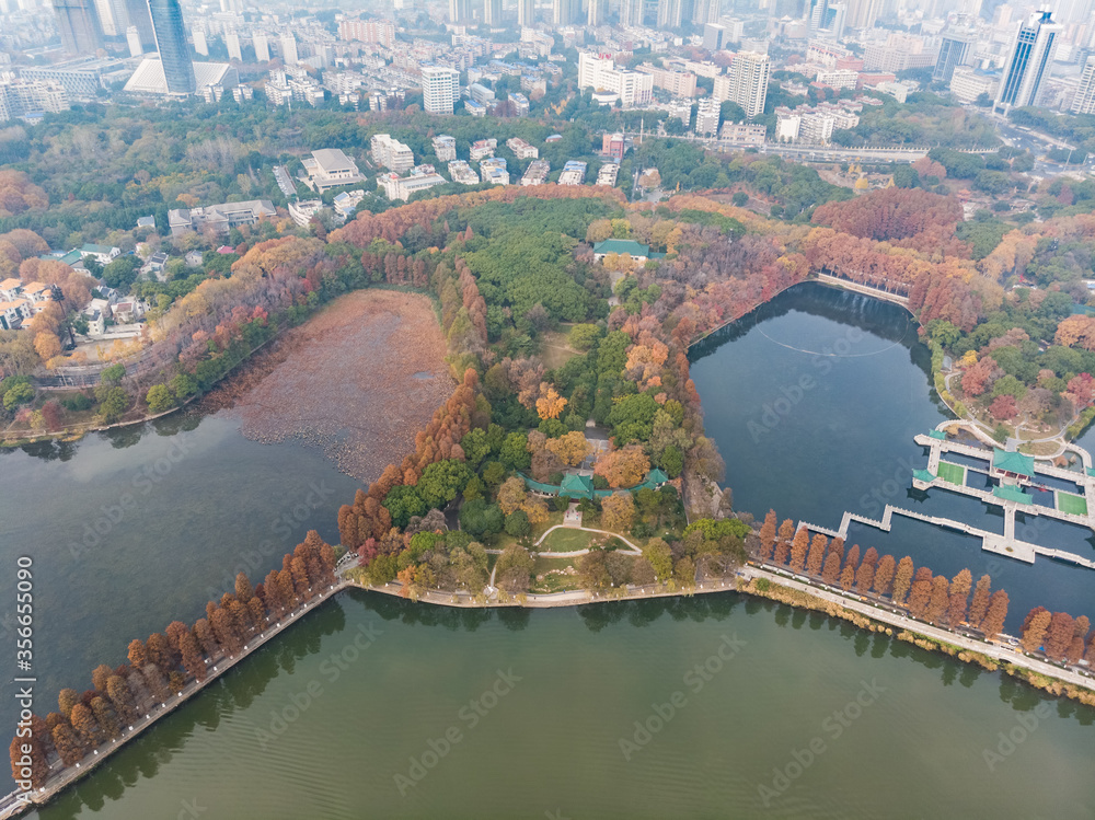 Hubei Wuhan East Lake Scenic Area Late Autumn Aerial Photography Scenery