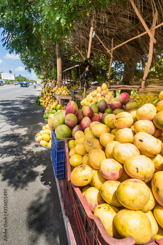dramatic image of a roadside mango stand in the caribbean island of h dominican republic.