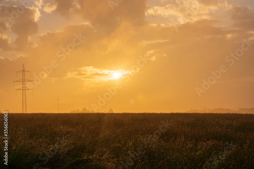 Sunset landscape with a plain wild grass field and a forest on background.
