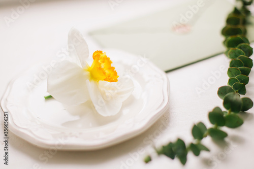 A delicate white flower lies on a saucer on a table