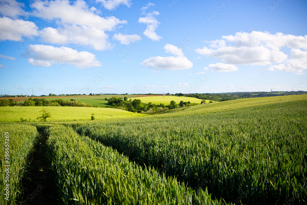 Paysage agricole en campagne Française.