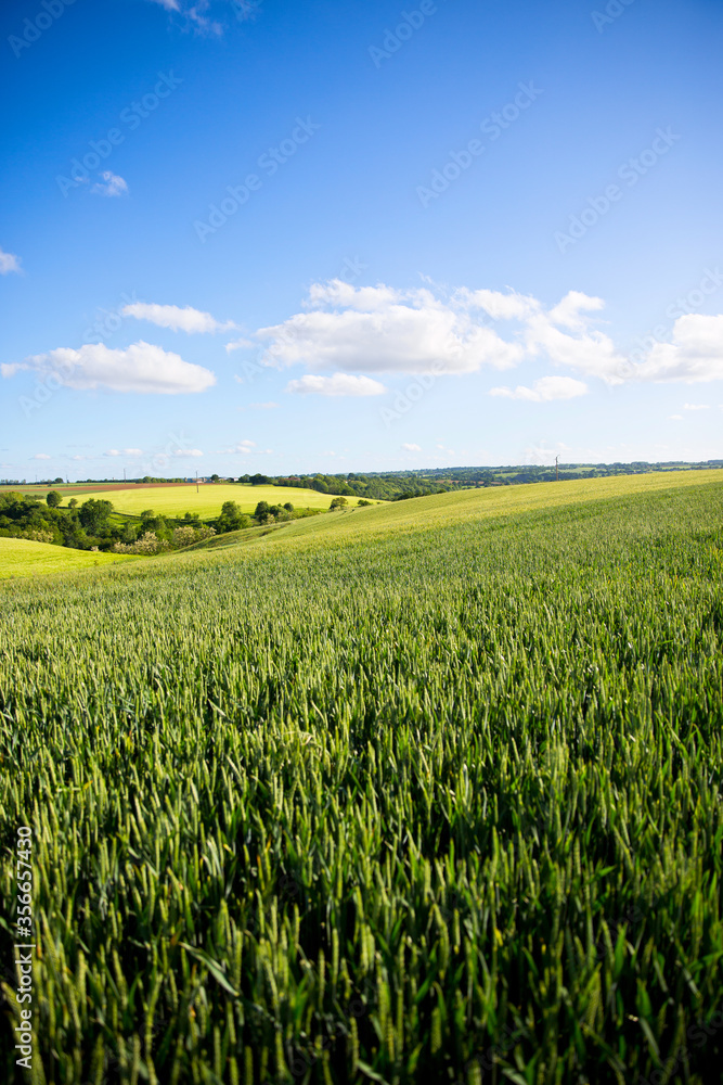 Obraz premium Paysage de campagne agricole en France au printemps.
