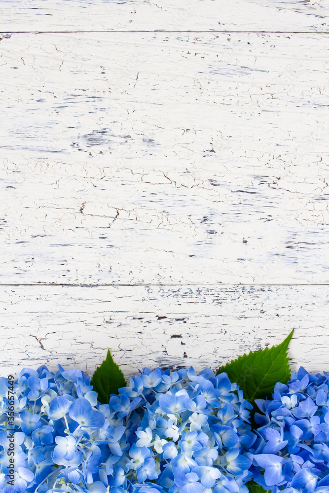 青い花 アジサイの背景素材 Stock Photo Adobe Stock
