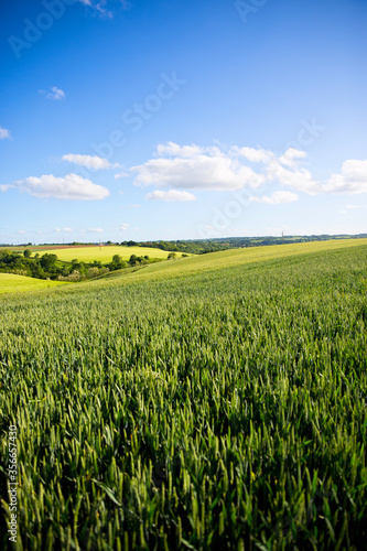 Paysage de campagne agricole en France au printemps.