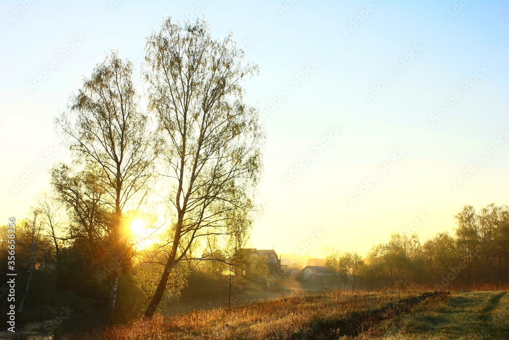 Landscape with a view of the village on the forest in the fog, surrounded by trees.Outskirts. Autumn morning sunrise in Russia, in the suburbs. Moscow region Serpukhov. 