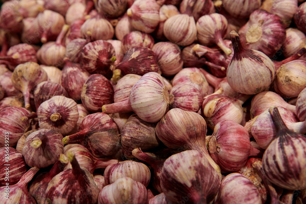 Red garlic bulbs closeup. A bunch of selective garlic background with beautiful light. Organic vegetables at the market. Red garlic bulbs closeup. A bunch of selective garlic background with beautiful light. Organic vegetables at the market.